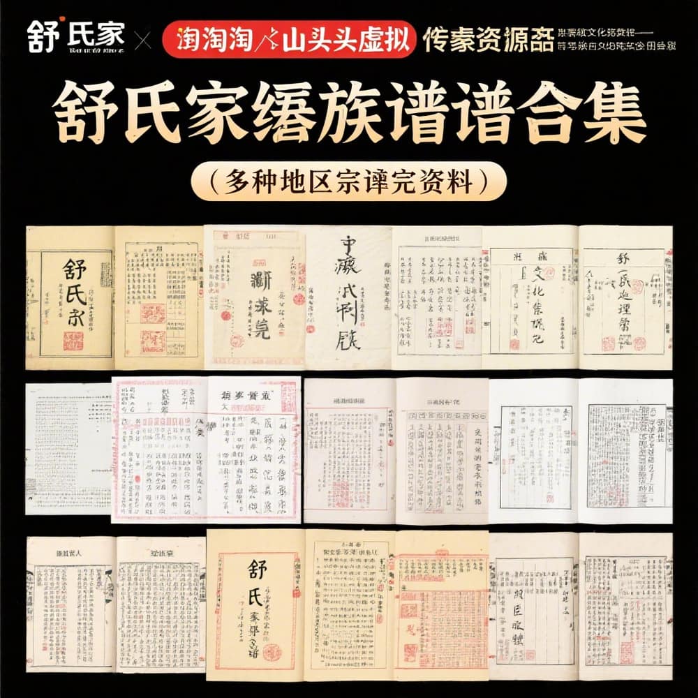 舒氏家谱族谱合集 多地区宗谱完整资料
